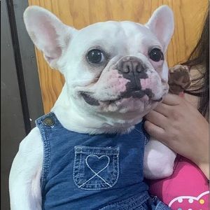 Meet your Posher, Mario